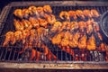 Shrimps barbecue grilled on roaster and fire Royalty Free Stock Photo