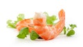 Shrimps tails Royalty Free Stock Photo