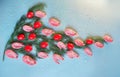 Shrimps with tomatos on blue background. Food art. Healthy lifestyle.