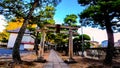 Shrine approach and torii Hokima Hikawa Shrine