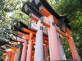 Japan Attractions Shrine of the Fujino Minami