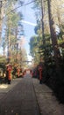 Mabashi Inari Shrine approach shrine contrail blue sky