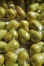 Shrink-wrapped trays of Bartlett pears Royalty Free Stock Photo