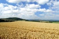 Shropshire Landscape Royalty Free Stock Photo