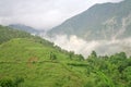 Shrouded beauty and himalayan monsoon clouds India