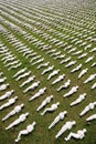 Shrouds of the Somme exhibition in Exeter Royalty Free Stock Photo