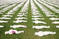 Shrouds of the Somme exhibition in Exeter