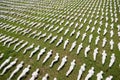 Shrouds of the Somme exhibition in Exeter