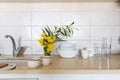 Shrub branch with Tecoma stans flowers in glass beaker on a white table in the interior. White bowls and cups, on a beige