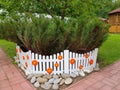 A shrub of decorative juniper behind a decorative fence
