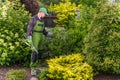 Shrub Pruning Preparation Work