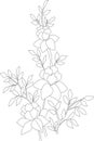 Shrub roses pattern