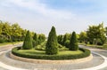 Shrub trimming ornamental in public green park Royalty Free Stock Photo