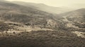 Aerial View Of Flat, Duotone Shrubland Royalty Free Stock Photo