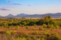 Shrubland fiels with mountains in the distance