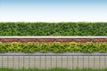 Shrubs and brick fence