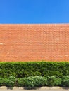 Shrubs and brick fence on blue sky Royalty Free Stock Photo