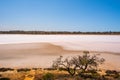 Shrubs growing on shores of salt lake. Royalty Free Stock Photo