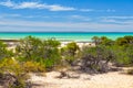 Shrubs at Hamelin Pool - Denham