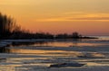 Shrubs, trees reflected in the water of the Gulf of Finland, ice Royalty Free Stock Photo