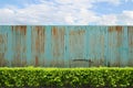 Shrubs with zinc fence on blue sky Royalty Free Stock Photo