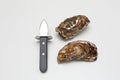 Shucking Knife and Oysters Royalty Free Stock Photo