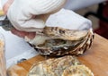 Shucking an oyster Royalty Free Stock Photo