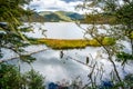 Shudu lake view in middle of tree branches in Potatso national park Yunnan China