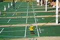 Shuffleboarding, Sarasota, Florida Royalty Free Stock Photo