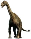 Shunosaurus Royalty Free Stock Photo