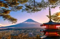 Mount Fuji Japan2020 Royalty Free Stock Photo