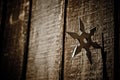 Shuriken star embedded in wood Royalty Free Stock Photo