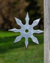 Shuriken throwing star, traditional japanese ninja cold weapon stuck in wooden background Royalty Free Stock Photo