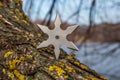 Shuriken throwing star, traditional japanese ninja cold weapon stuck in wooden background Royalty Free Stock Photo