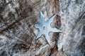 Shuriken (throwing star), traditional japanese ninja cold weapon stuck in wooden background Royalty Free Stock Photo