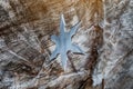 Shuriken throwing star, traditional japanese ninja cold weapon stuck in wooden background,Silver shuriken with star shape.