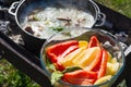 Shurpa soup in a large cast-iron cauldron outdoor. Summer food for hike. Royalty Free Stock Photo