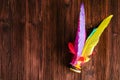 Shuttle Kicking, Colorful Feather Chinese Jianzi Foot Sports Royalty Free Stock Photo