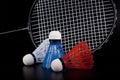 Shuttlecock and badminton racket Royalty Free Stock Photo