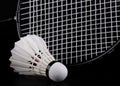 Shuttlecock and badminton racket Royalty Free Stock Photo