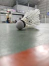 Shuttlecock is a ball in a badminton Royalty Free Stock Photo