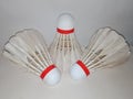 shuttlecock is a ball in badminton games Royalty Free Stock Photo