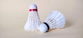 Shuttlecock is a ball used in badminton games Royalty Free Stock Photo