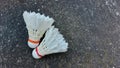 Photo of a white shuttlecock used to play badminton Royalty Free Stock Photo