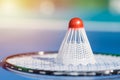 Shuttlecock or birdie on badminton racket close up. Royalty Free Stock Photo