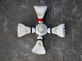 5 shuttlecock feathers on the ground Royalty Free Stock Photo