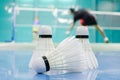 shuttlecock on the floor with badminton player Royalty Free Stock Photo