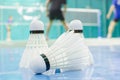 shuttlecock on the floor with badminton player Royalty Free Stock Photo