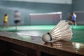 Shuttlecock with parts of its feathers scattered on wooden. Royalty Free Stock Photo