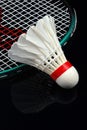 Shuttlecock and racket